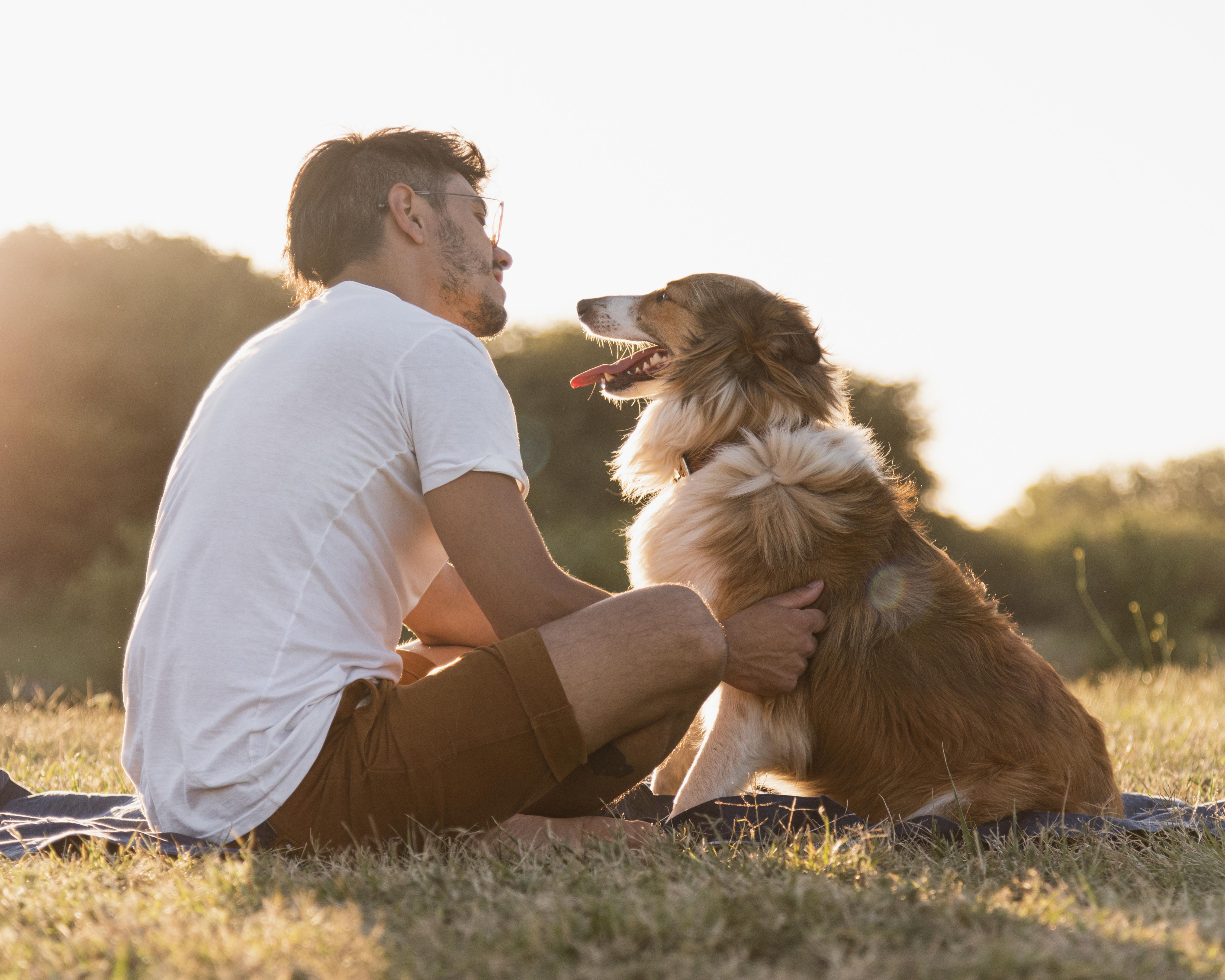 A bright, warm moment between a pet parent and a happy dog